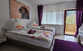 La Casa Suciu